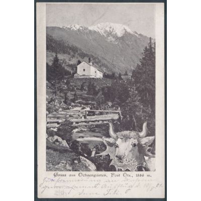 Ochsengarten