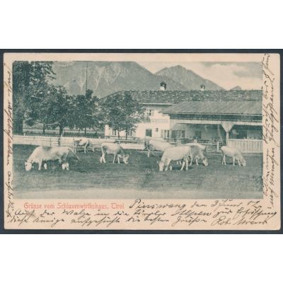 Pinswang, Gasthaus