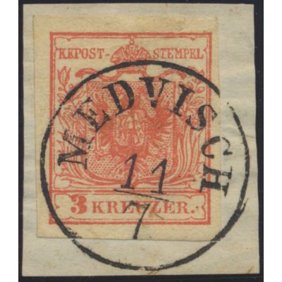 Medvisch