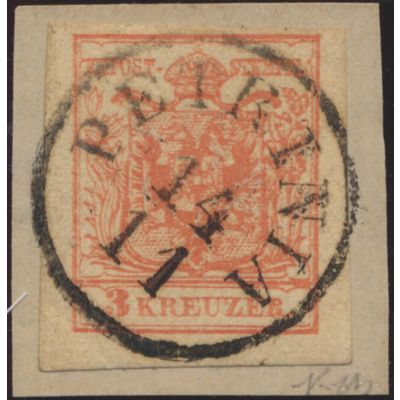Petrinia