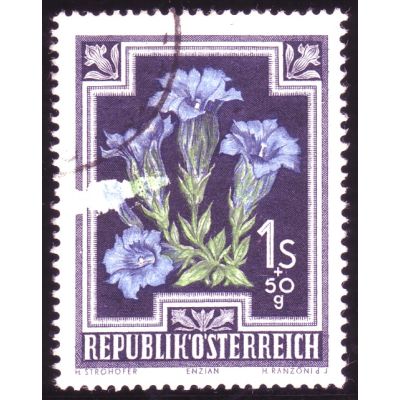 Los 470, ANK 885 Druckauslassung