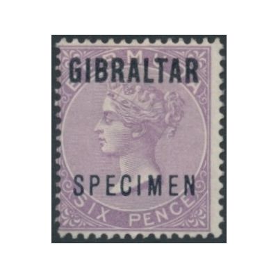 Mi 6 Specimen