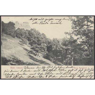Adamsthal, Burg Novyhrad