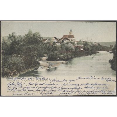 Stiefern im Kamptal