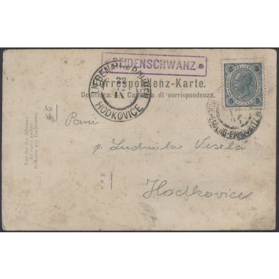 Seidenschwanz