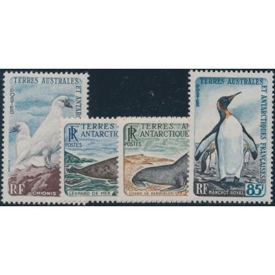 Französisch Antarktis