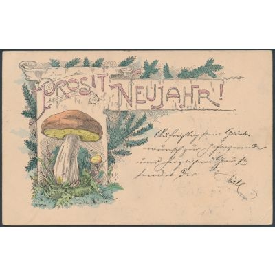 Neujahrskarte 31.12.1899